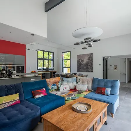 Contemporaine 14 Pers. Avec Piscine Chauffee Et Jardin - Dune Du Pyla Et Plages A Proximite - Fr-1-319-512
