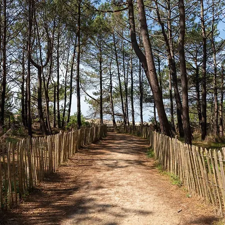 Contemporaine 14 Pers. Avec Piscine Chauffee Et Jardin - Dune Du Pyla Et Plages A Proximite - Fr-1-319-512 Biscarrosse