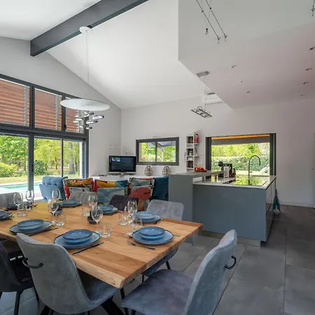 Contemporaine 14 Pers. Avec Piscine Chauffee Et Jardin - Dune Du Pyla Et Plages A Proximite - Fr-1-319-512 Biscarrosse