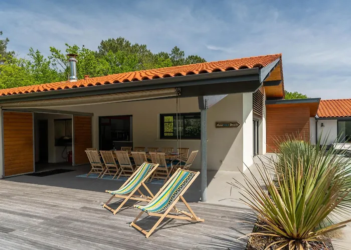 Contemporaine 14 Pers. Avec Piscine Chauffee Et Jardin - Dune Du Pyla Et Plages A Proximite - Fr-1-319-512