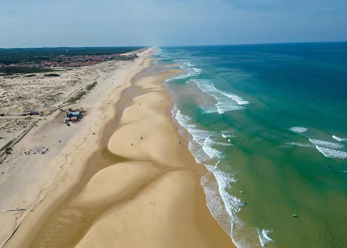 Contemporaine 14 Pers. Avec Piscine Chauffee Et Jardin - Dune Du Pyla Et Plages A Proximite - Fr-1-319-512 * Biscarrosse