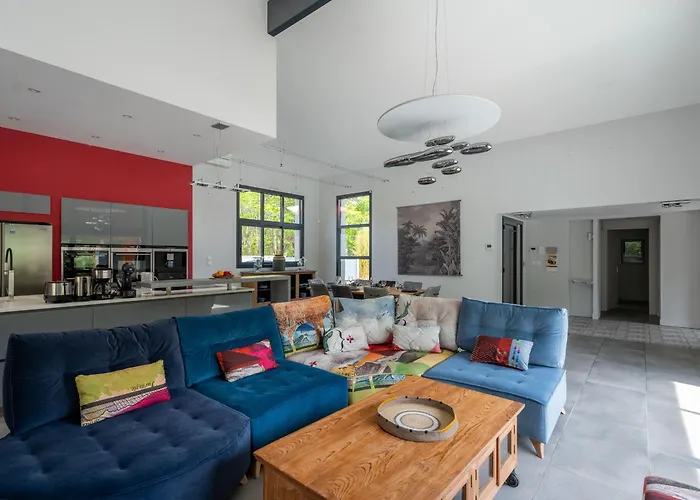 Contemporaine 14 Pers. Avec Piscine Chauffee Et Jardin - Dune Du Pyla Et Plages A Proximite - Fr-1-319-512